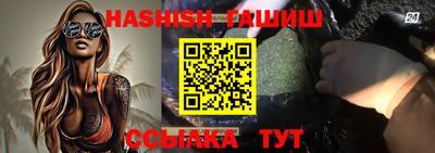 хмурый Гатчина